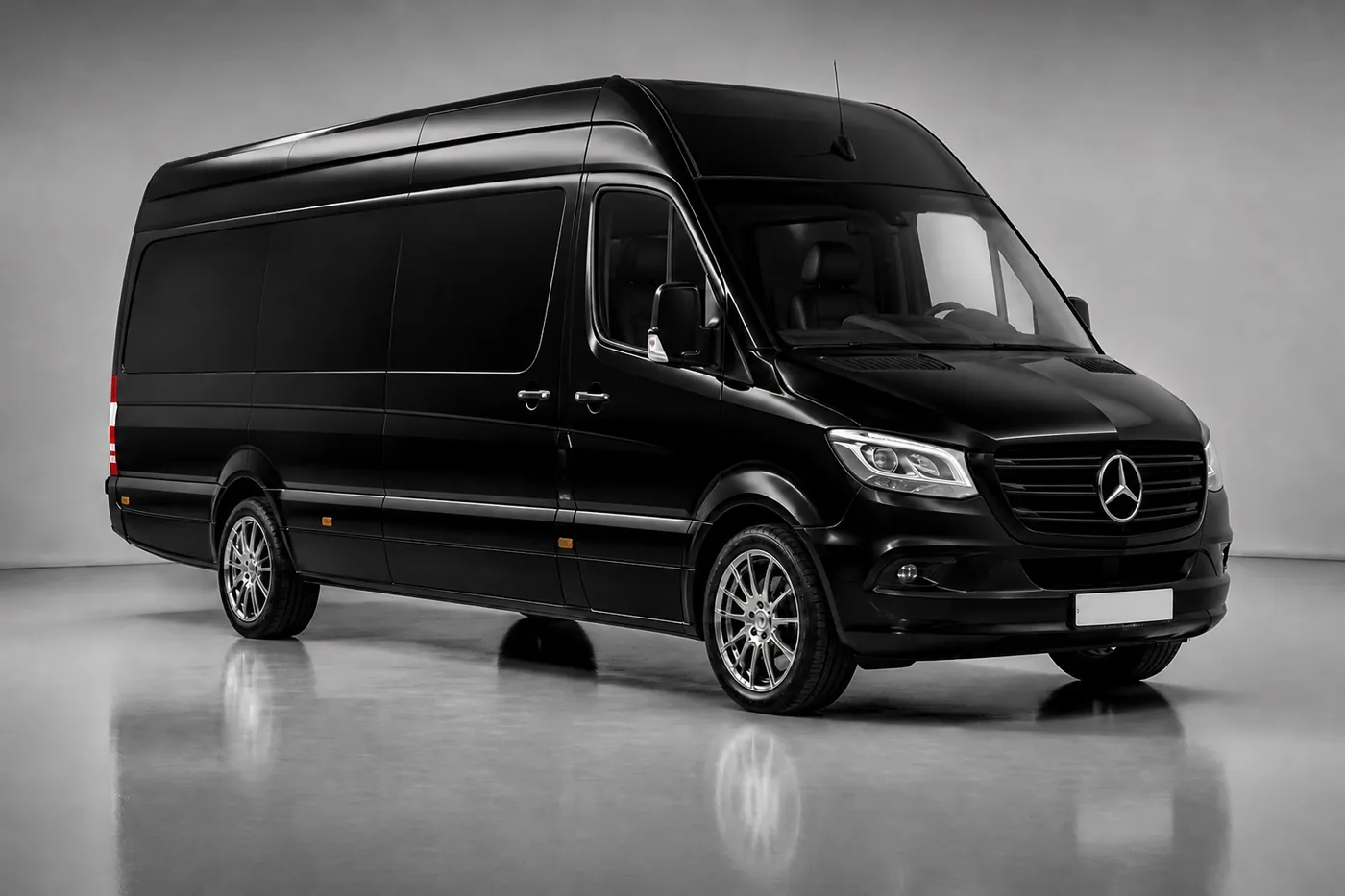 Executive Mercedes-Benz Sprinter, 8 seats